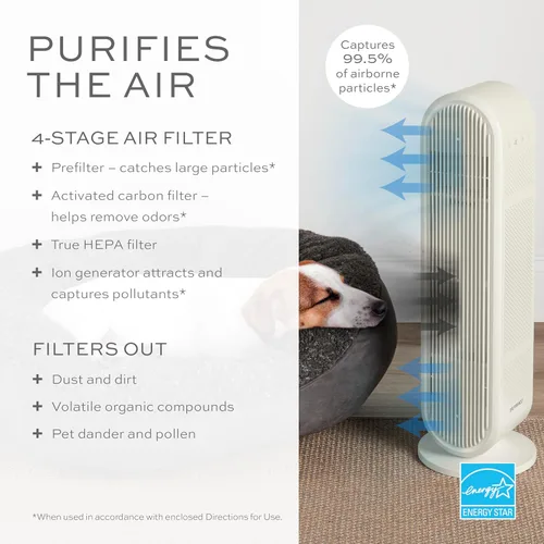 Miniatura 2 de Conair Purificador de aire, filtro de aire HEPA, purificador para alergias, polvo, polen, control de olores, habitaciones de tamaño mediano de hasta