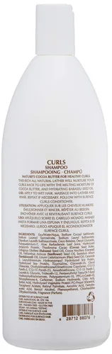 Surface Hair Champú Rizos para hidratar, limpiar, suavizar y brillar, sin sulfatos y sin parabenos, protección natural para el cabello encrespado,