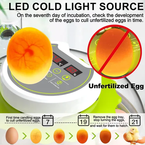 Miniatura 3 de Incubadora de huevos de 18/60 con pantalla de humedad, incubadoras para incubar huevos, vela de huevos, girador automático de huevos, incubadora