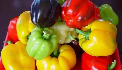 Miniatura 2 de Mezcla de semillas de pimiento dulce arcoíris para plantar alrededor de 40 semillas