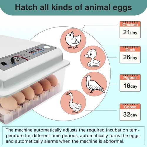 Miniatura 2 de Incubadoras para incubar huevos, incubadora de huevos con giro automático de huevos y control de humedad, incubadora de huevos para huevos