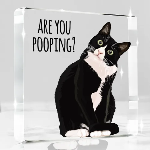 ¿Estás haciendo caca? Letrero divertido, decoración de gato negro, decoración de baño acrílica de gato, decoración creativa para el hogar, regalo