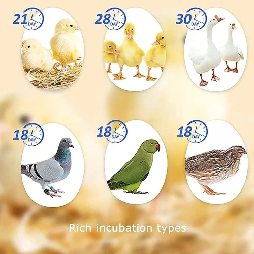Miniatura 2 de Incubators Automatic Egg Incubator Poultry Hatching Machine Temperature Control Humidity Control for Hatching Chicks, Ducks, Quail 120pcs/layer(120