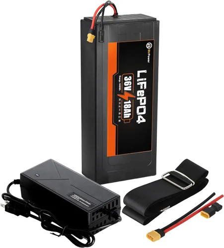 Batería de litio de 48V/52V 25Ah LiFePO4 incorporada 50A BMS para motor 0-1200W
