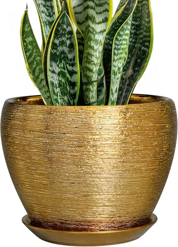 Miniatura 48 de Maceta de Cerámica Moderna con Esmalte para Suculentas con Agujero de Drenaje y Platillo, Maceta Redonda de 6 Pulgadas para Plantas de Flores
