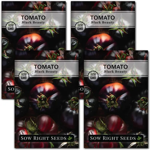 Miniatura 9 de Sow Right Seeds - Semillas de tomate Black Beauty para plantar - Paquete de reliquia sin OMG con instrucciones para plantar un huerto en el hogar al