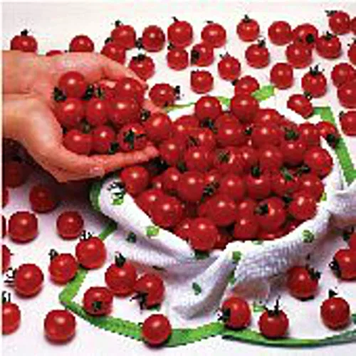 Semillas de tomate Sweet Million (((paquete de 50 semillas))) (más reliquia, sin OMG, vegetales, frutas, hierbas, semillas de jardín de flores en