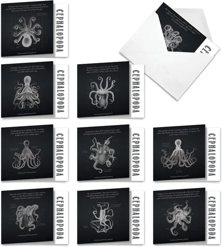 Miniatura 10 de The Best Card Company - 10 tarjetas en blanco para todas las ocasiones (4 x 5.12 pulgadas) - Surtido de tarjetas náuticas, oceánicas, de vida marina