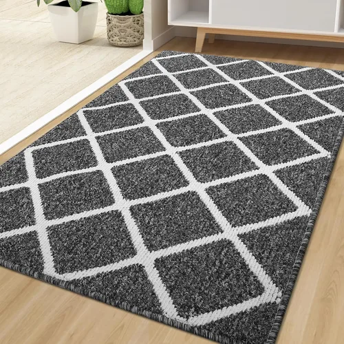 Miniatura 21 de Finchitty Alfombra para Puerta Interior, Resistente a la Suciedad y Absorbente, de Perfil Bajo, Antideslizante, Lavable, Alfombras de Piso