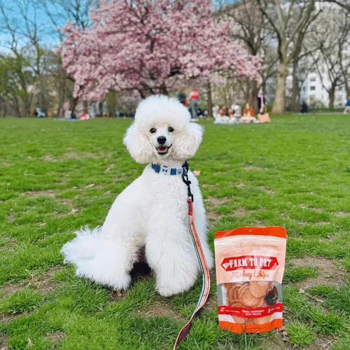 Miniatura 6 de Farm To Pet Golosinas de entrenamiento para perros, papas fritas de pavo saludables para perros, 4 onzas, pechuga de pavo 100% de grado humano, todo
