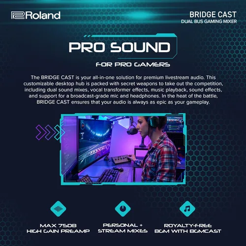 Miniatura 3 de Roland BRIDGE CAST - Mezclador de juegos de doble bus Interfaz de transmisión de audio profesional y mezclador para jugadores en línea Hardware