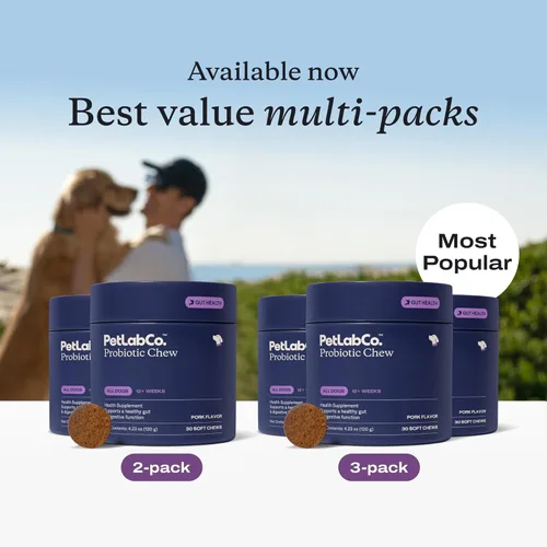 Miniatura 6 de PetLab Co. Probióticos para perros, ayudan a la salud intestinal, la diarrea ocasional, la salud digestiva y las alergias estacionales, sabor a