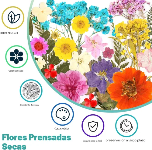 Miniatura 3 de Flores Secas, Resiners 58 Piezas Flores Prensadas para Manualidades Rosa Flores Secas Naturales Reales Kit de Hojas Secas para DIY Hacer