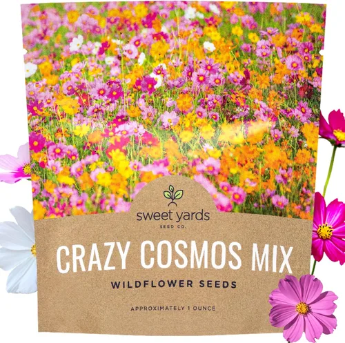 Cosmos Seeds Mezcla de flores silvestres, paquete a granel de 1 onza, más de 5,000 semillas, especies mixtas de rosa, amarillo, naranja, rojo,