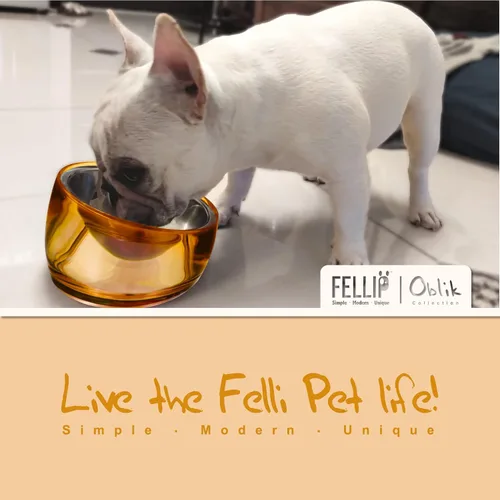 Miniatura 4 de Felli Oblik Cuenco de Comida y Agua para Perros de Acrílico Elevado de Acero Inoxidable Plato Ovalado Inclinado para Perros de Patas Cortas y Dorado