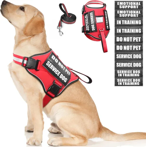 Miniatura 14 de Juego de arnés y correa para perro de servicio, chaleco de entrenamiento para perros con 10 parches para perros, arnés y chaleco para perros de Azul