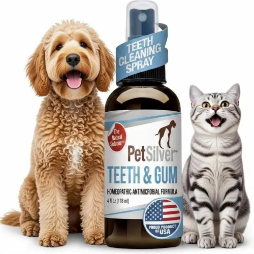 PetSilver Spray de dientes y encías, plata quelatada, ambientador natural para el aliento de perro, limpieza dental para gatos y perros sin