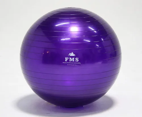 Miniatura 6 de FIM ISU 25.6 in Fitness Stability Ball • Yoga Balance Ball • Ejercicio Entrenamiento Bola INCLUYE Bomba de Pie