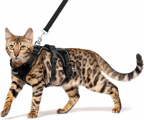 PUPTECK Juego de arnés y correa para gato a prueba de escape para caminar, chaleco de malla transpirable arnés ajustable para gatos cachorros Negro