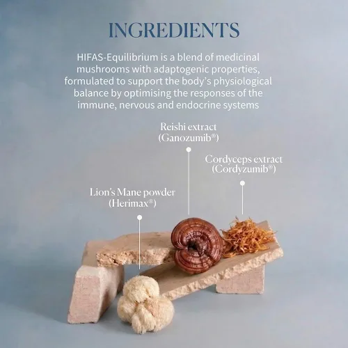 Miniatura 5 de Hifas Equilibrium - Complejo de hongos con melena de león orgánica, Cordyceps y Reishi - Suplemento de apoyo para el estrés y el estado de ánimo