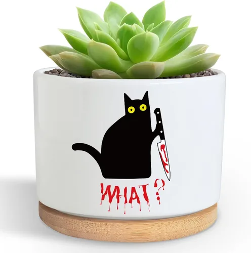 Miniatura 9 de DOFAFALA Maceta Graciosa para Suculentas, Maceta para Cactus, Regalos de Flores, Regalos Inspiradores de Apreciación para Amantes de Plantas, Nunca