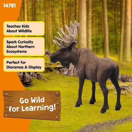 Miniatura 4 de Schleich Wild Life - Figura de alce de toro – Figura de juguete de animales salvajes, duradera para educación y juego imaginativo para niños
