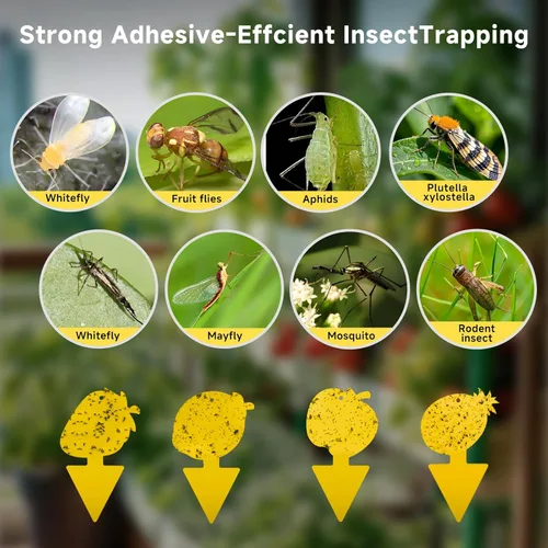 Miniatura 5 de Trampa para moscas de frutas y mosquitos de hongos, paquete de 40 trampas adhesivas amarillas para mosquitos para plantas de casa