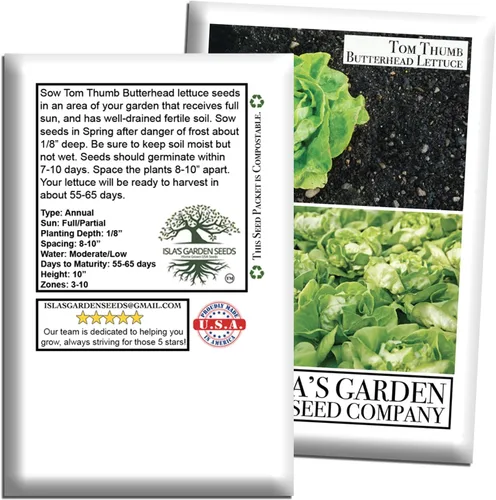 Miniatura 7 de Semillas de lechuga Tom Thumb Butterhead (Lactuca sativa) – Más de 1000 semillas tradicionales sin OMG de Isla's Garden Seeds, variedad compacta