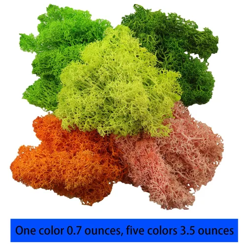Miniatura 2 de XGNG Plantas de musgo preservado de 3.53 onzas de musgo de reno rosa, decoración de musgo, musgo verde para manualidades, musgo para plantas