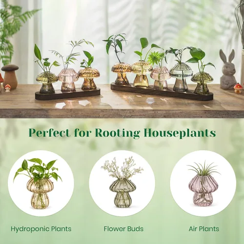 Miniatura 6 de Hewory Estaciones de propagación de vidrio para plantas: jarrones de hongos ámbar con soporte de madera para decoración del hogar - Jarrones