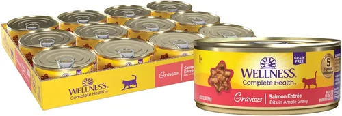 Wellness Complete Health - Alimento húmedo en salsa para gatos adultos, natural, rico en proteínas, sin granos, 5.5 onzas, paquete de 12, (plato de
