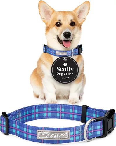 Miniatura 30 de Lucky Love Dog - Collar de perro ajustable con hebilla de fácil clic para los grandes, duradero y cómodo para perros machos y hembras, collar