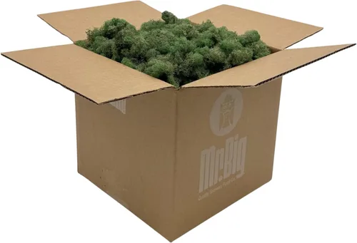 Miniatura 19 de Quality Growers - Musgo de reno preservado - Musgo para manualidades, decoración del hogar, arte, diseño y proyectos de bricolaje - No tóxico
