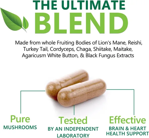 Miniatura 6 de Suplemento cerebral de hongos 10 en 1 mezcla – Complejo de hongos de alta resistencia con melena de león, cola de pavo, reishi, cordyceps, chaga