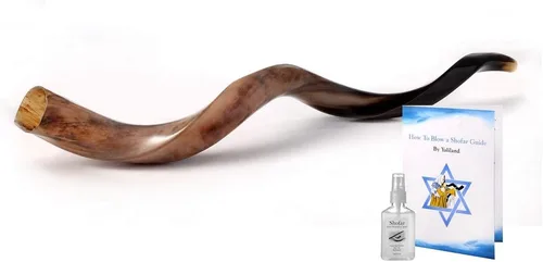 Miniatura 8 de Auténtico shofar de cuerno kudu yemenita – Instrumento bíblico espiritual para adoración judía y cristiana, oración y festivales – Incluye spray