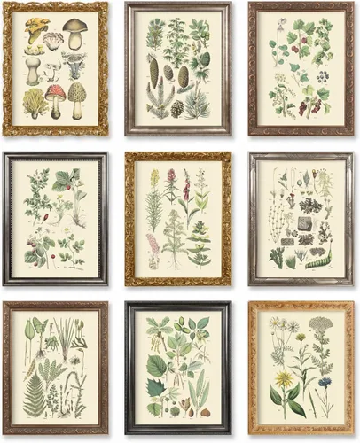 Miniatura 10 de Vintage Botanical Prints Woodland Plants by Ink Inc. Wildflower Mushrooms Fern Trees Berries Wall Art Set of 9 5"x7" - Framed, Black Wood