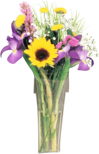 Gadjit Florero de vinilo con forma de maceta, succiones a ventanas y espejos, sostiene ramo de tallos de flores y agua, vinilo flexible transparente