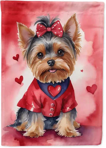 Miniatura 89 de Caroline's Treasures DAC5292CHF - Bandera de Border Collie My Valentine House para porche, grande, con manga para porche, para colgar en la pared