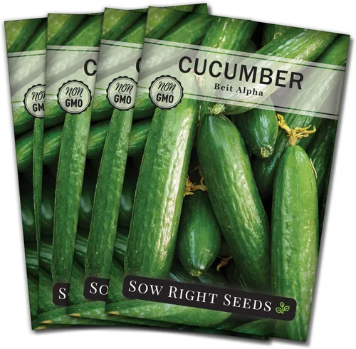 Miniatura 8 de Sow Right Seeds - Semillas de pepino Beit Alpha para plantar - Paquete de reliquia sin OMG con instrucciones para plantar y cultivar un huerto