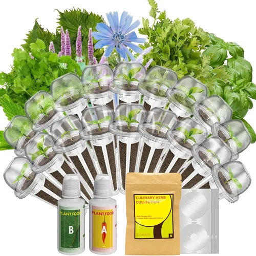 Miniatura 11 de inbloom Kit de 12 cápsulas de semillas de flores para AeroGarden, iDOO, Ahopegarden, sistema de cultivo hidropónico MUFGA, incluye caléndula