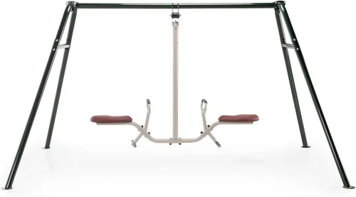 Gym Dandy Tilt-A-Swing - Juego de columpios para niños, giros de 360 grados, rotación multidireccional, juego de columpios para patio trasero,