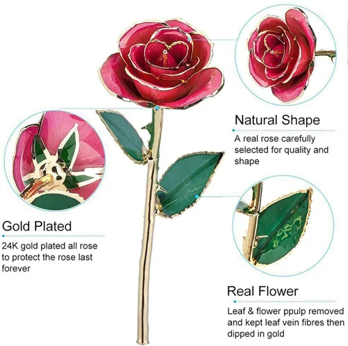 Miniatura 3 de Ejoyous Regalo de rosa para el día de la madre para mamá, rosa sumergida en oro de 24 quilates chapada en oro real preservada para siempre con Rosa