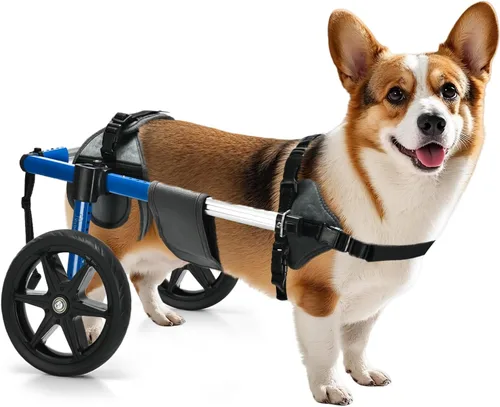 Silla de ruedas para perros para patas traseras, silla de ruedas ajustable para perro, marco de aluminio con arnés acolchado, ruedas todo terreno
