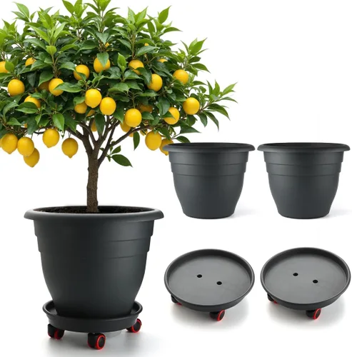 Miniatura 15 de RooTrimmer Juego de 10 macetas de 8 pulgadas con agujeros de drenaje y platillos, macetas para plantas de interior y exterior, macetas de orquídeas