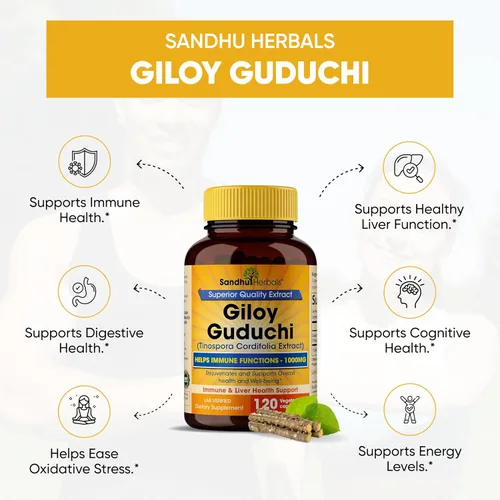 Miniatura 2 de SANDHUHERBALS Giloy orgánico (Guduchi) Polvo Herbal 120 cápsulas vegetarianas para hombres y mujeres Suplemento herbario natural para apoyo