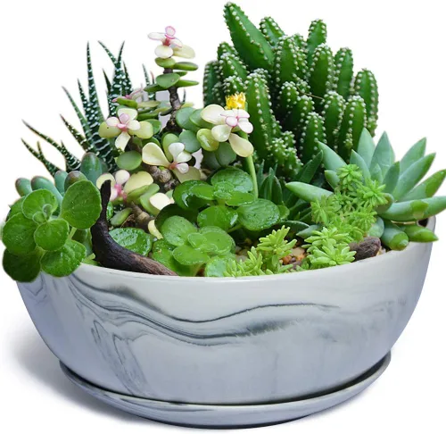 Miniatura 10 de G EPGardening Macetas Bonsai, Maceta de Cerámica de 8 Pulgadas con Patrón de Mármol y Orificio de Drenaje y Platillo para Plantas, Maceta Grande
