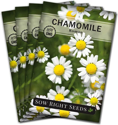 Miniatura 9 de Sow Right Seeds - Semillas de manzanilla romana para plantar - Paquete de reliquia sin OMG con instrucciones para cultivar un jardín de té