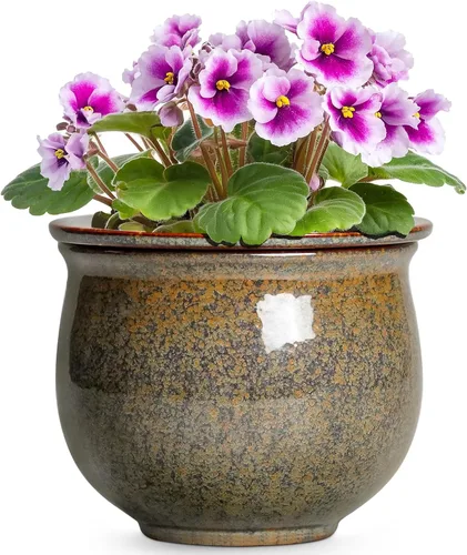 Miniatura 10 de Macetas de riego automático de 6 pulgadas para plantas de interior, macetas de cerámica violeta africana con maceta interior absorbente, maceta