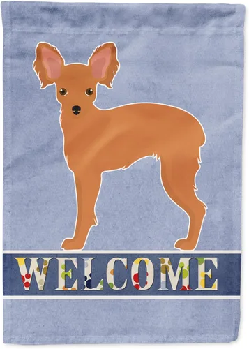 Miniatura 84 de Caroline's Treasures CK3647CHF - Bandera de bienvenida con diseño de bulldog francés, manga grande, para porche, para colgar en la pared, poliéster