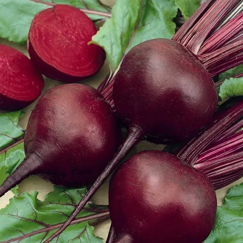 Semillas orgánicas de remolacha roja oscura de Detroit, 1/4 libra ~ 6,000 semillas, sin OMG, polinización abierta, reliquia, horticultura y semillas